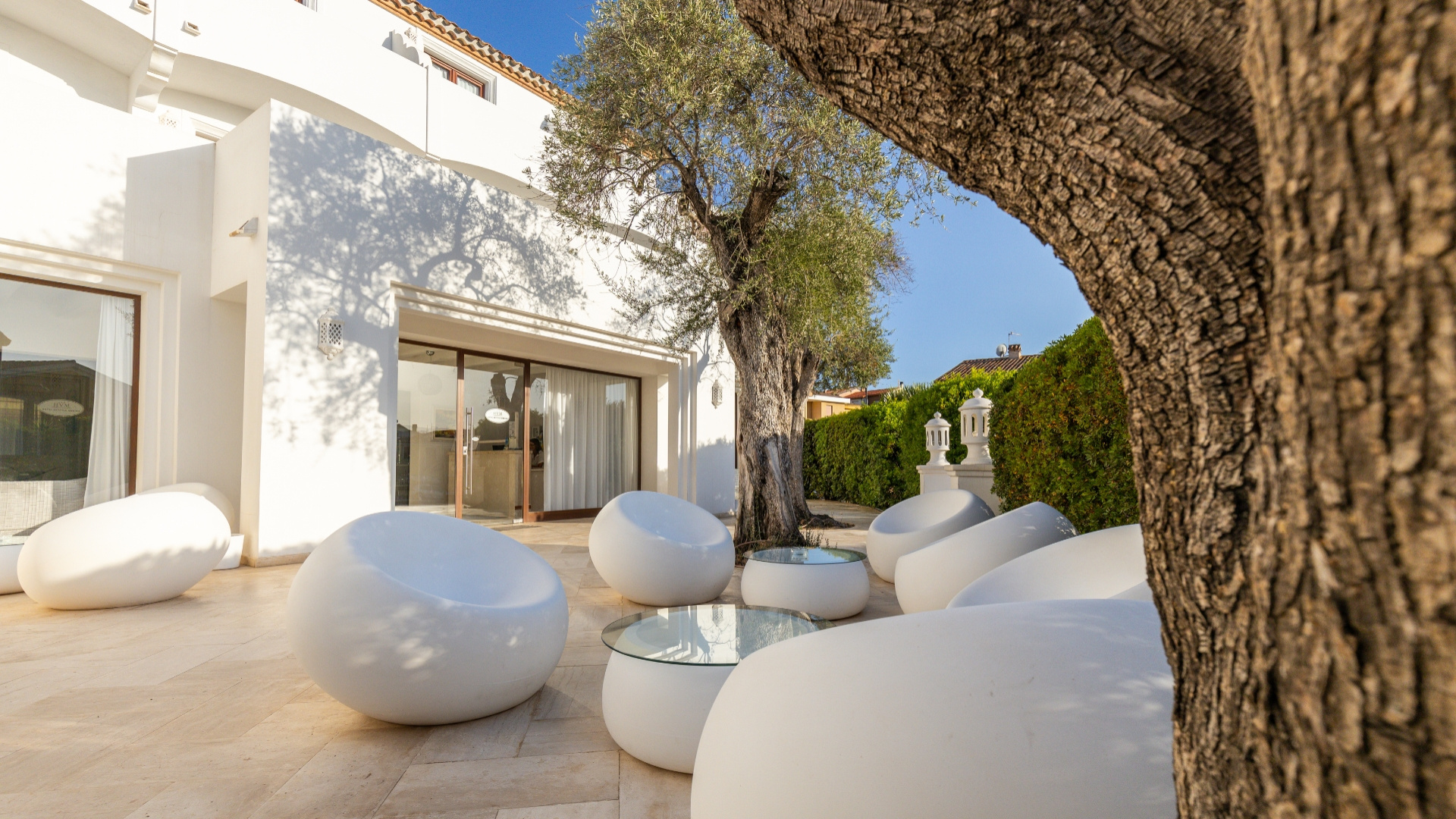 Patio moderno con sedute bianche arrotondate e albero, accanto a un edificio bianco.